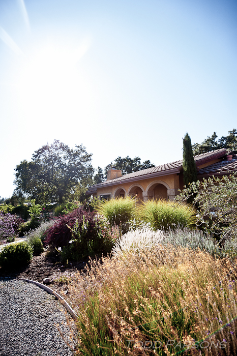 Rachel_Paul Blog 00004