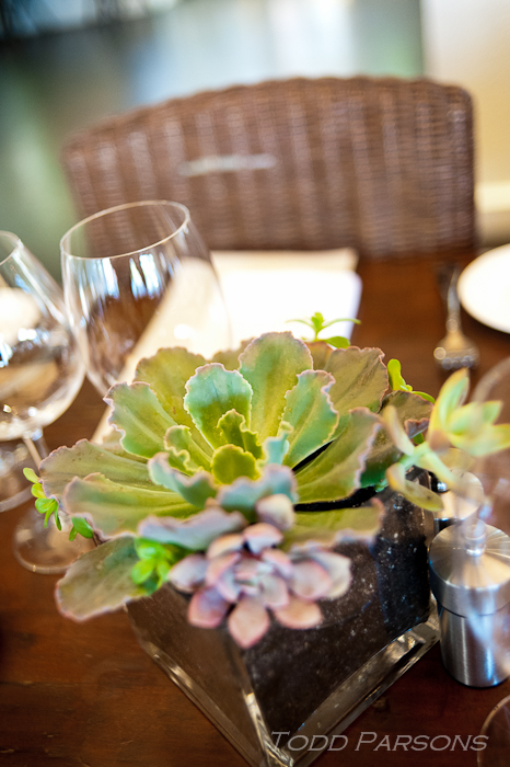 Rachel_Paul Blog 00038