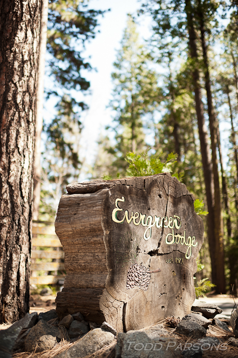 chrissie_ryan_blog 00001