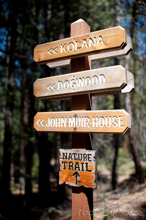 chrissie_ryan_blog 00004