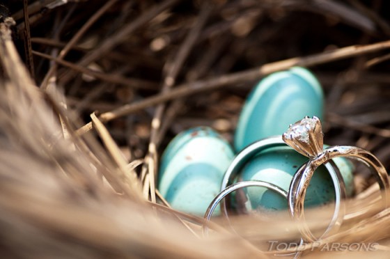 chrissie_ryan_blog 00007