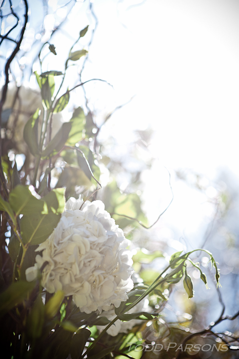 chrissie_ryan_blog 00021