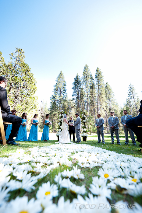 chrissie_ryan_blog 00024