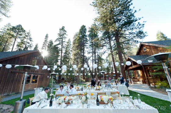 chrissie_ryan_blog 00039