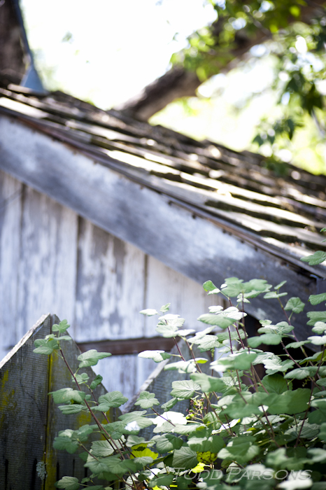 katie_edward_blog -00004