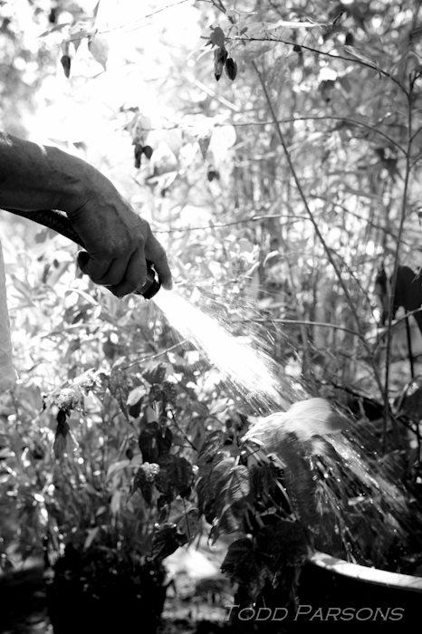 katie_edward_blog -00028