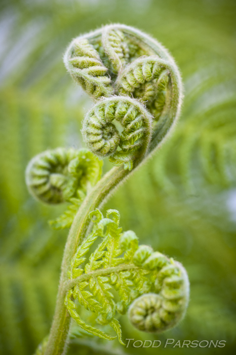 katie_edward_blog -00030