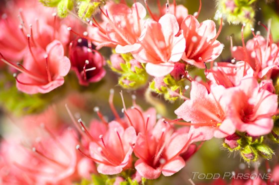 katie_edward_blog -00031