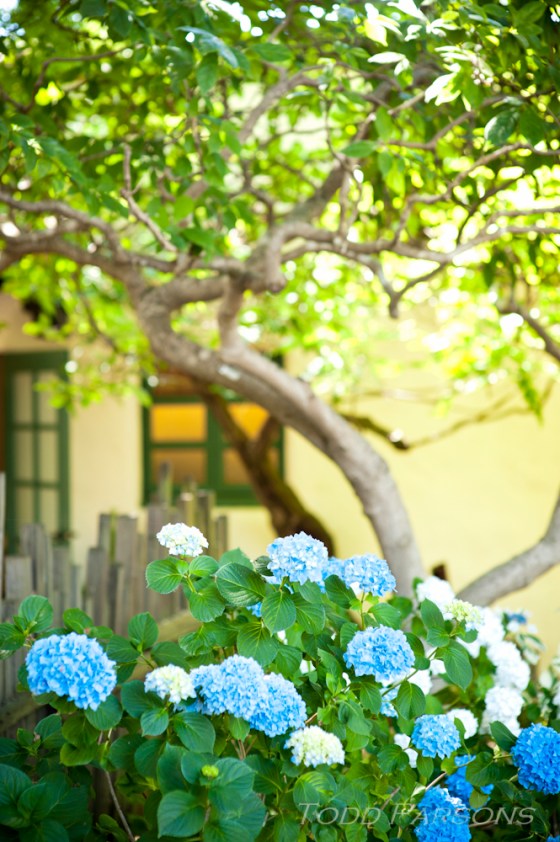 gabe_casey_blog 0004