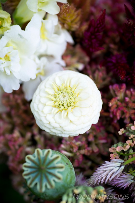 nate_katie_blog 00027