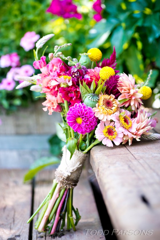 nate_katie_blog 00028