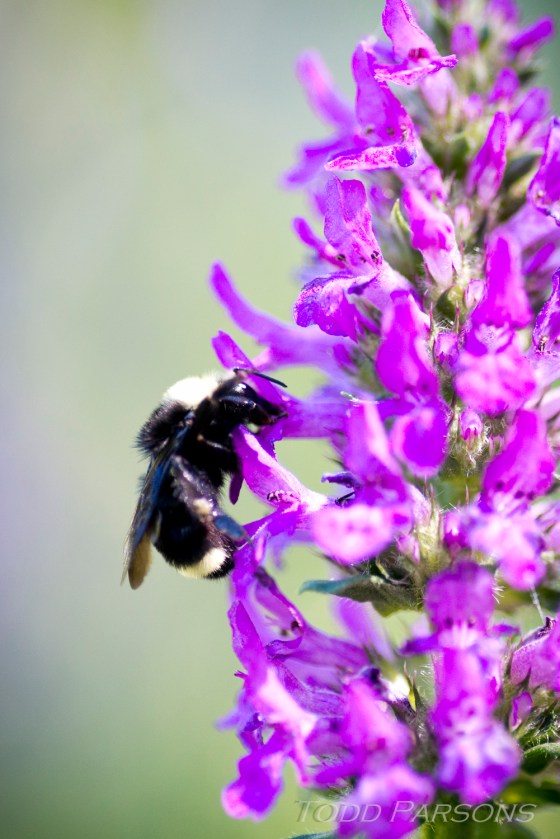 nate_katie_blog 00068