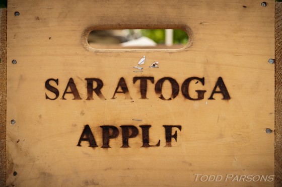 Melissa_Scott_blog 0002