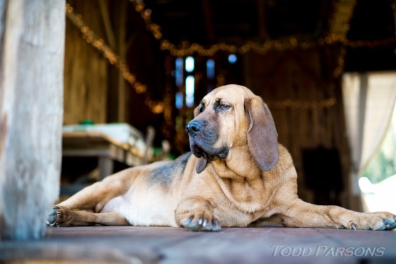 Melissa_Scott_blog 0006