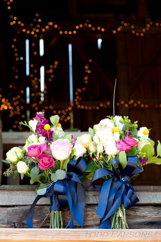 Melissa_Scott_blog 0009