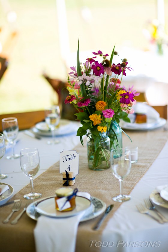 Melissa_Scott_blog 0043