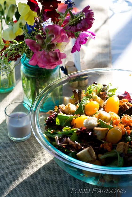 Melissa_Scott_blog 0044