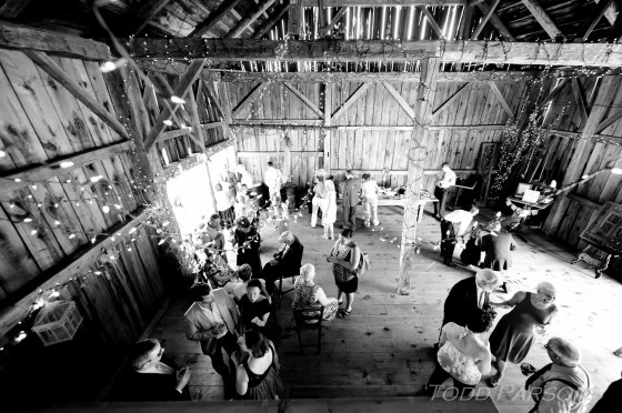 Melissa_Scott_blog 0046