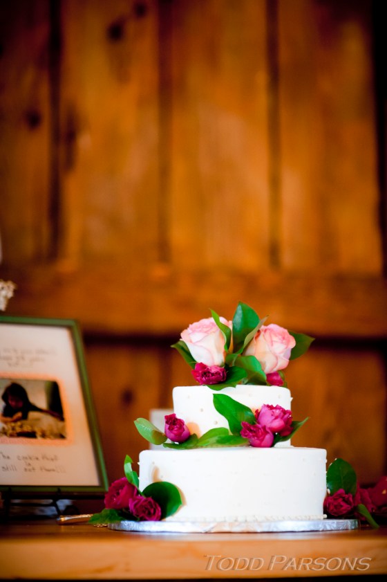 Melissa_Scott_blog 0078