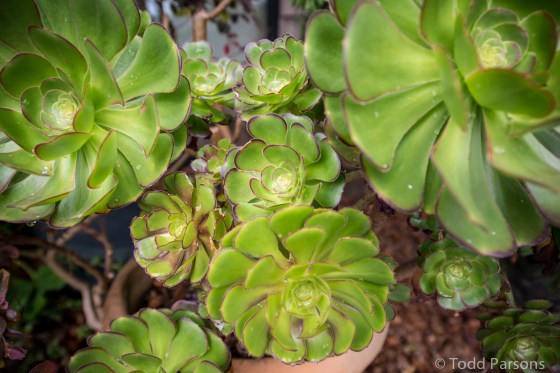 marissa_tom_blog 0021