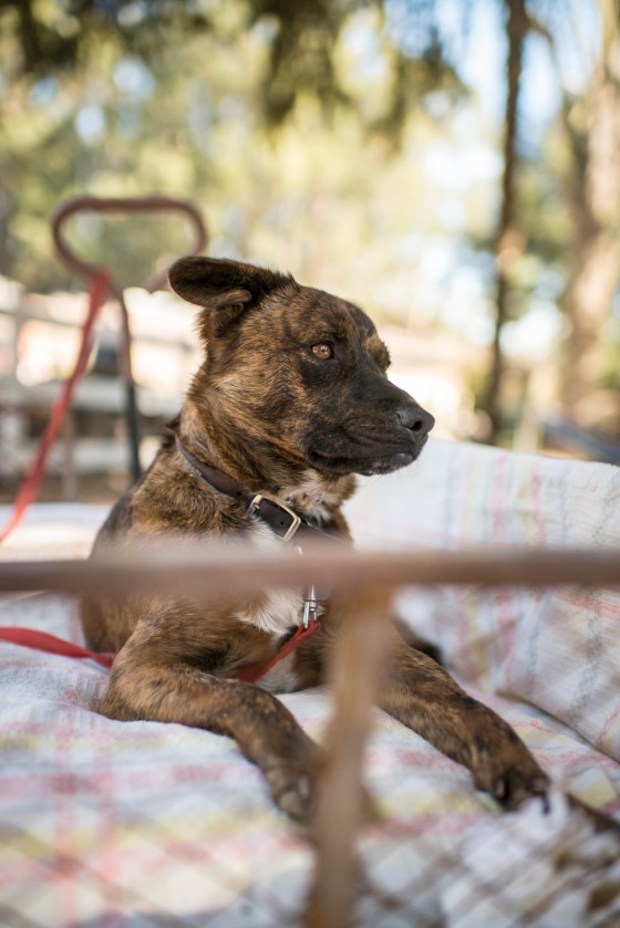 nichole_gordon_blog 0087