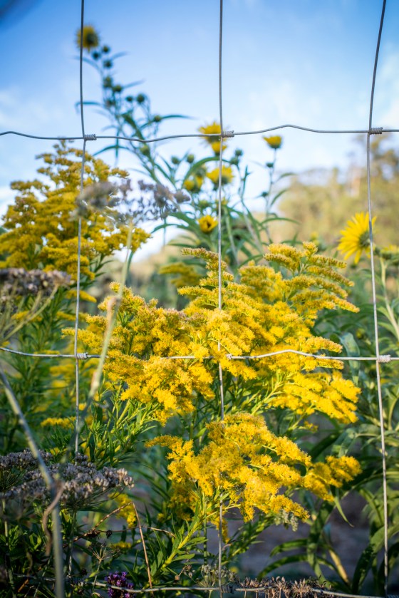 nichole_gordon_blog 0116