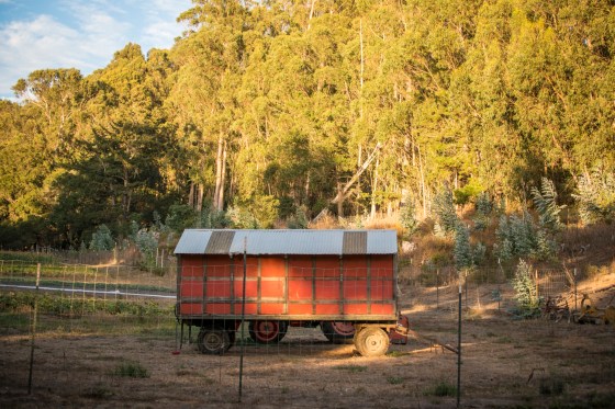 nichole_gordon_blog 0117